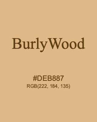 木颜色|RGB Burly Wood